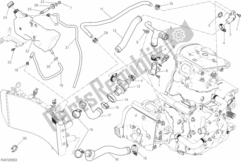 All parts for the Cooling System of the Ducati Monster 1200 S Brasil 2019